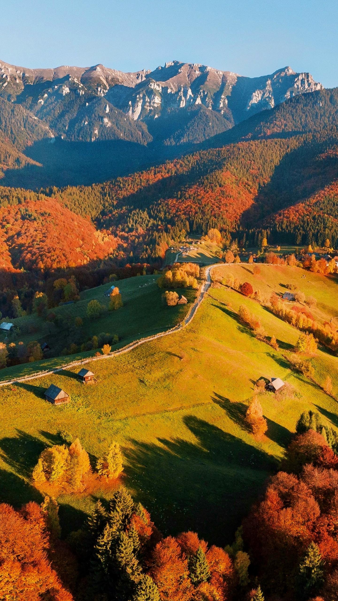 Mountain Fall Colors
