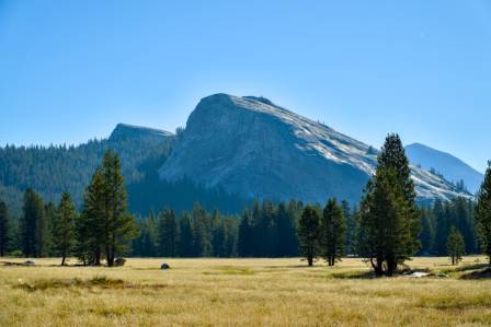 Montane Forests of the Southwest