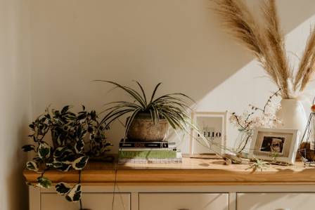 Embracing Timelessness: Wabi-Sabi Principles in Interior Design