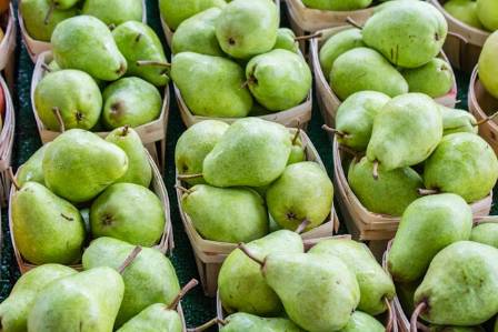 All About Pears