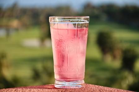 We Tasted 10 Flavored Sparkling Water Brands and This Is the Best
