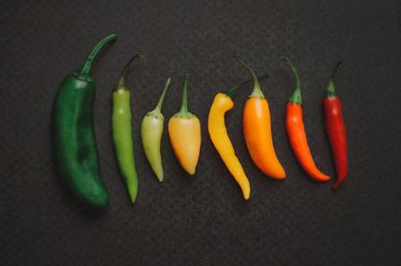 What are the 5 main types of chilli pepper?