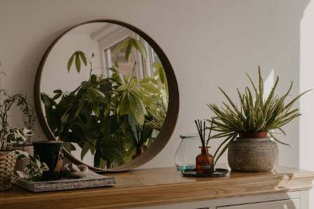 Indoor Plants: Integrating Them into Any Design Style
