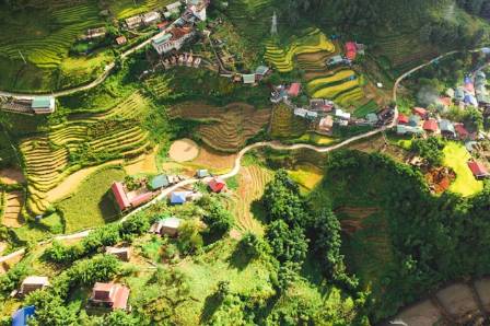 Discovering Asia's Breathtaking Rice Terraces